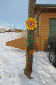 Sunflowers on your power pole
