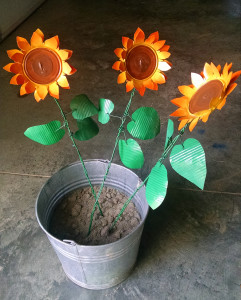 Sunflowers in a pot